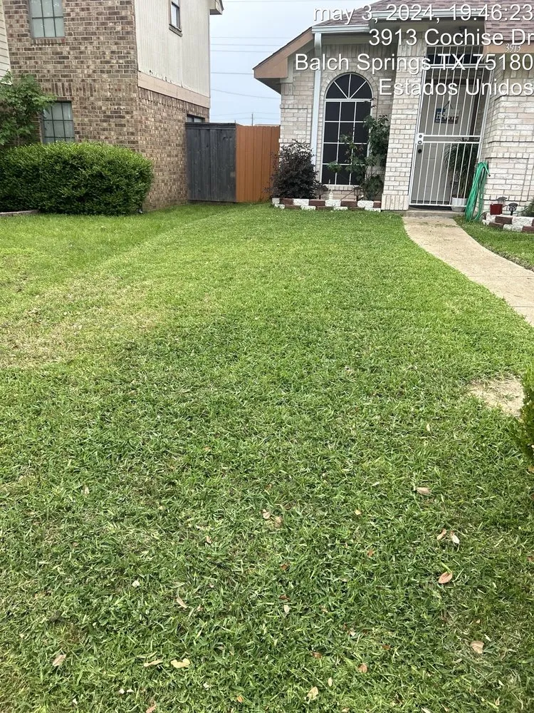 Custom lawn mowing service for beautiful yards across Dallas, TX - JJ’s Brothers Landscaping