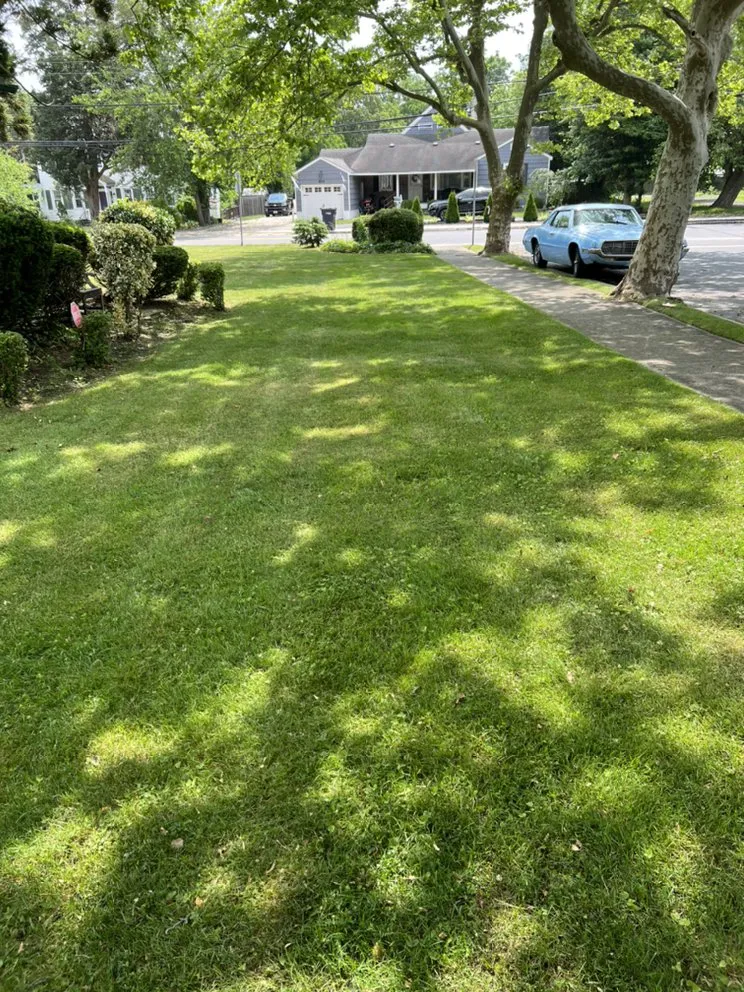 Reliable garden landscaping for year-round maintenance in Pleasantville, NJ by JJ’s Fresh Cutz