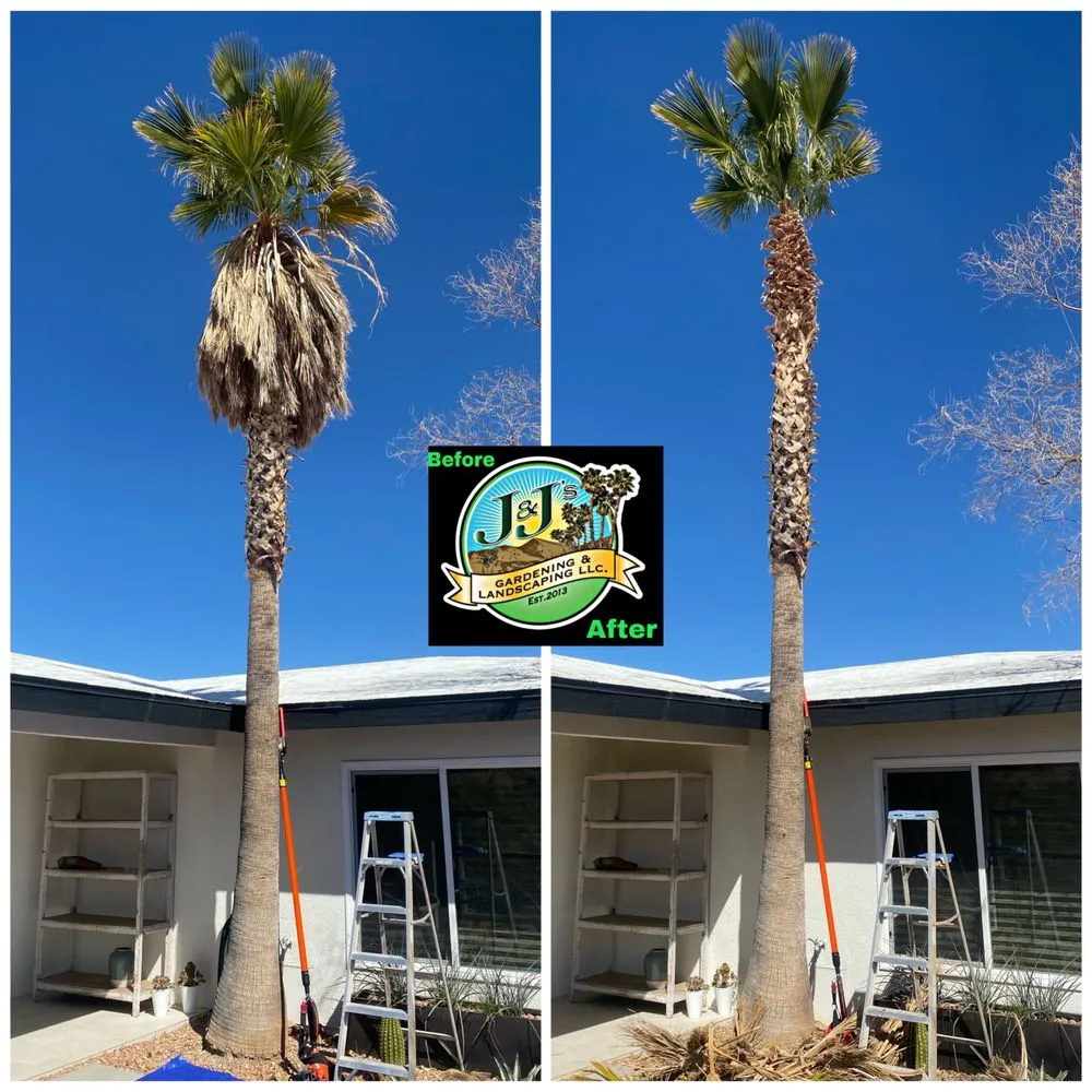 Custom yard cleanup service in Palm Desert, CA by J&J's Gardening and Landscaping