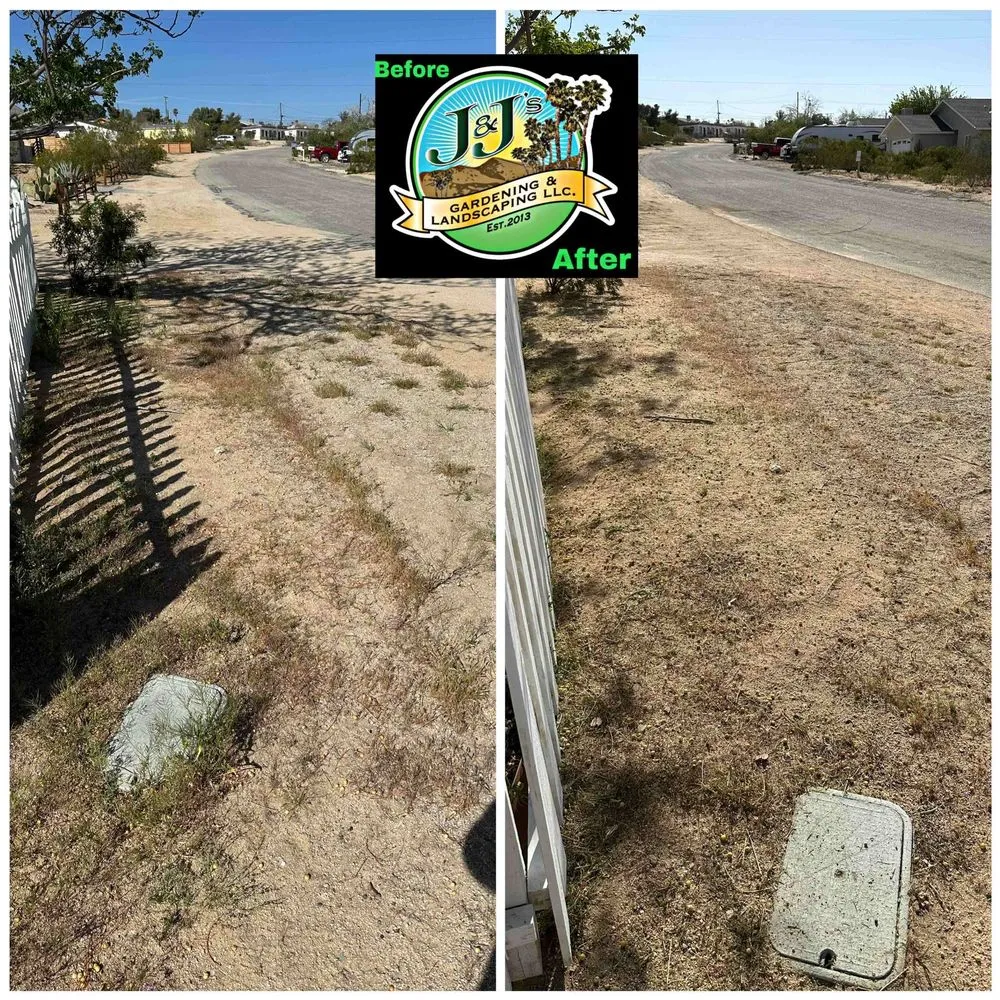 Expert lawn care service experts serving Palm Desert, CA - J&J's Gardening and Landscaping