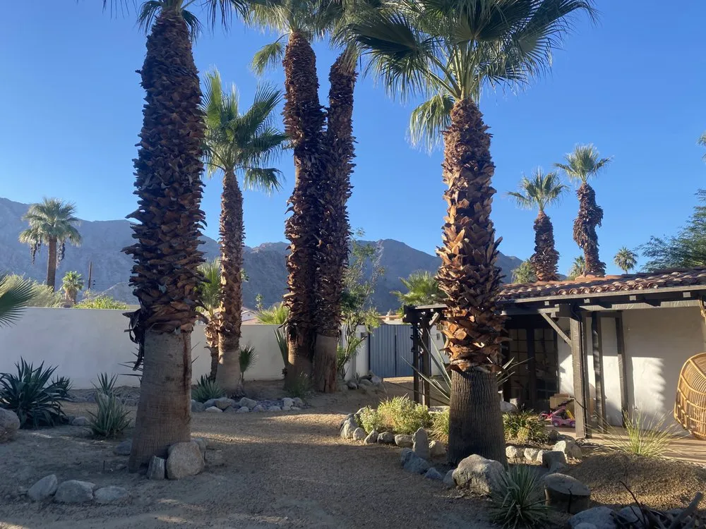 Trusted outdoor landscaping experts serving Palm Desert, CA - J&J's Gardening and Landscaping