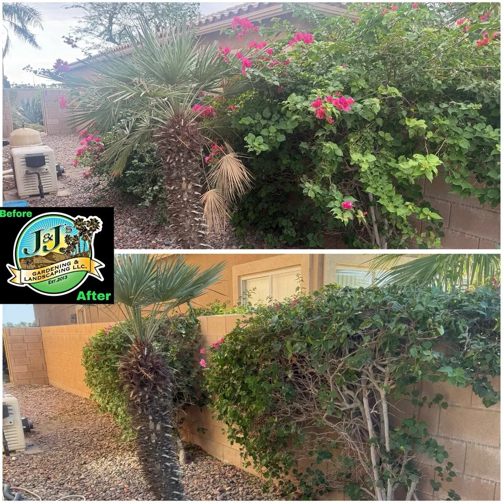 Reliable lawn mowing service with custom design across Palm Desert, CA - J&J's Gardening and Landscaping