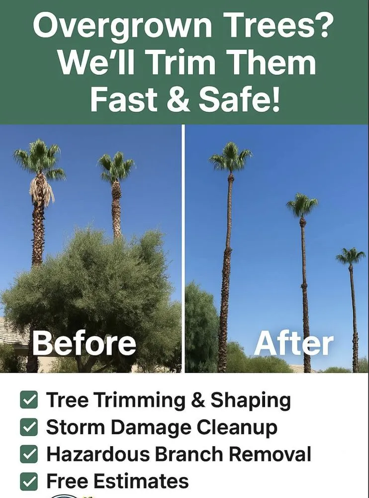 Custom lawn mowing service for homes across Palm Desert, CA - J&J's Gardening and Landscaping