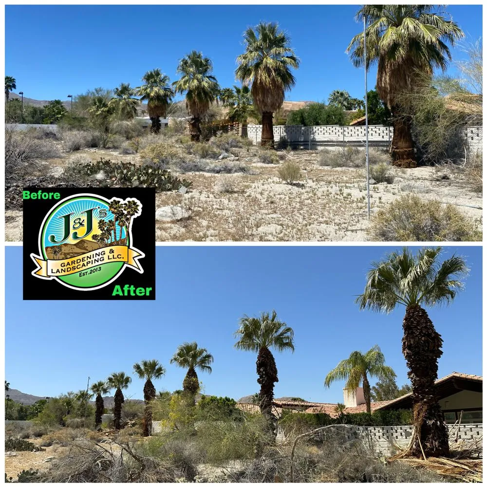 Top-rated landscape design in Palm Desert, CA - J&J's Gardening and Landscaping