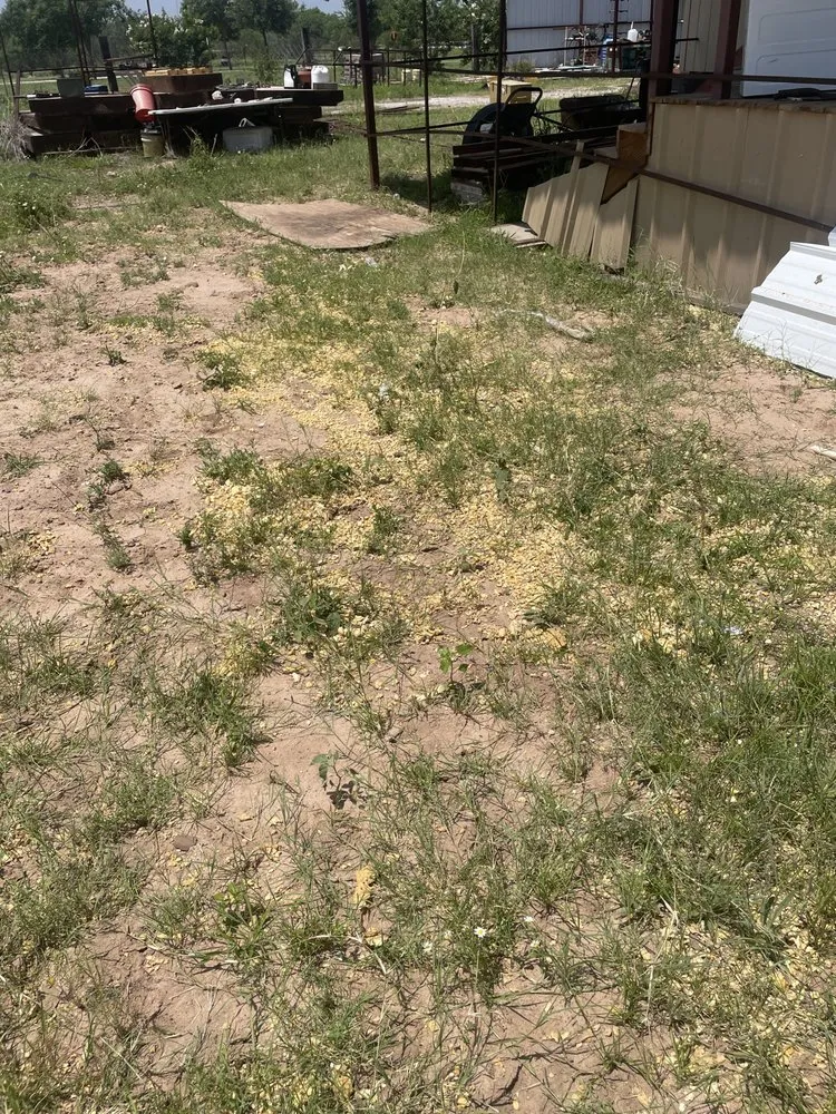 Professional garden landscaping in Natalia, TX - JJ’s House Cleaning