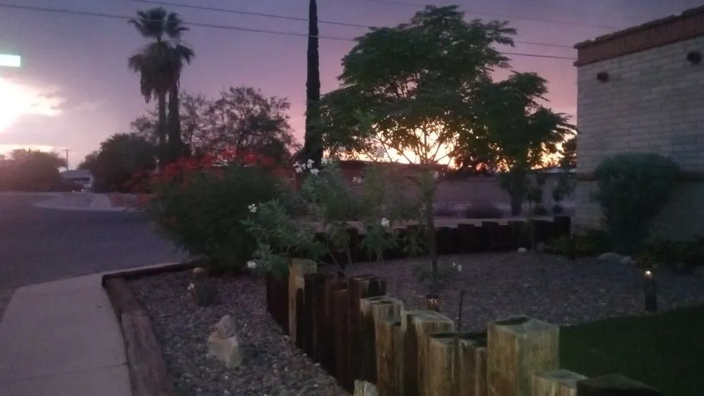 Top-rated yard cleanup service experts serving Tucson, AZ - JJ's Landscapes