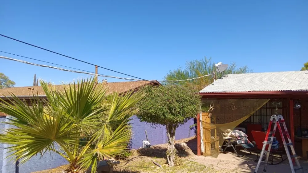 Trusted yard maintenance in Tucson, AZ by JJ's Landscapes