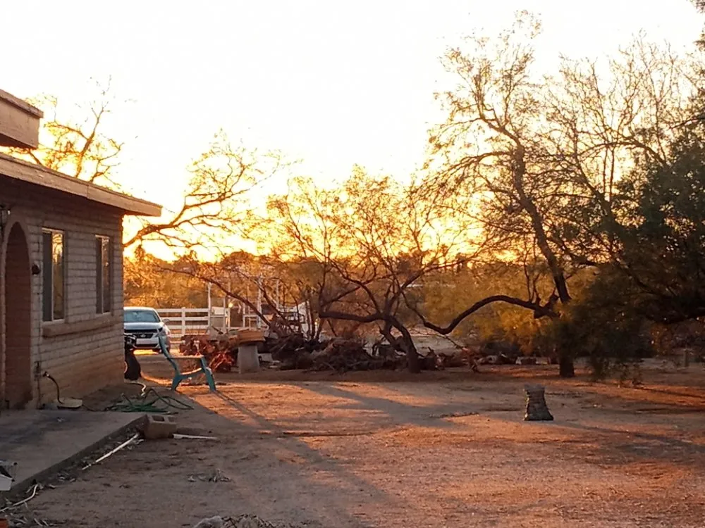 Custom landscape installation for outdoor upgrades in Tucson, AZ by JJ's Landscapes