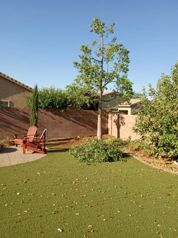 Professional yard maintenance for outdoor upgrades in Tucson, AZ by JJ's Landscapes