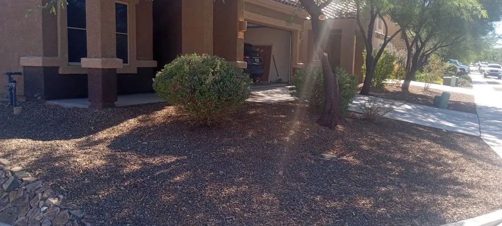 Trusted outdoor landscaping for homes across Tucson, AZ - JJ's Landscapes