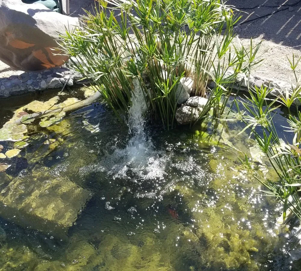 Trusted garden landscaping experts serving Tucson, AZ - JJ's Landscapes