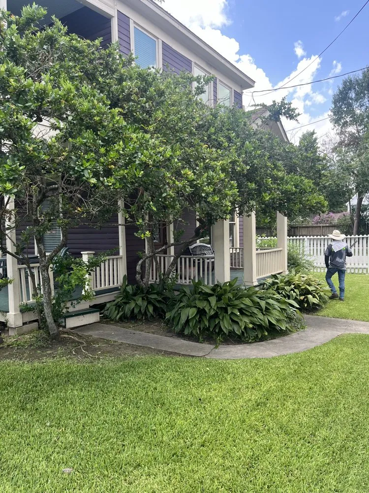 Top-rated garden landscaping for year-round maintenance in Houston, TX by jjs landscaping and construction