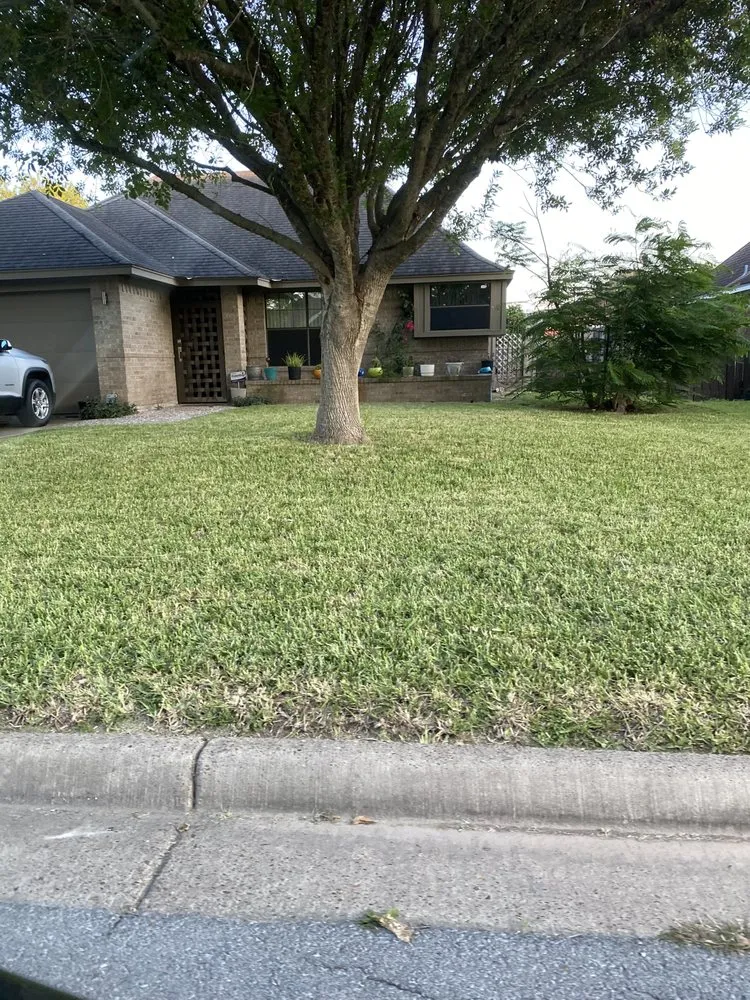 Professional landscape installation in Brownsville, TX - JJ’s Landscaping