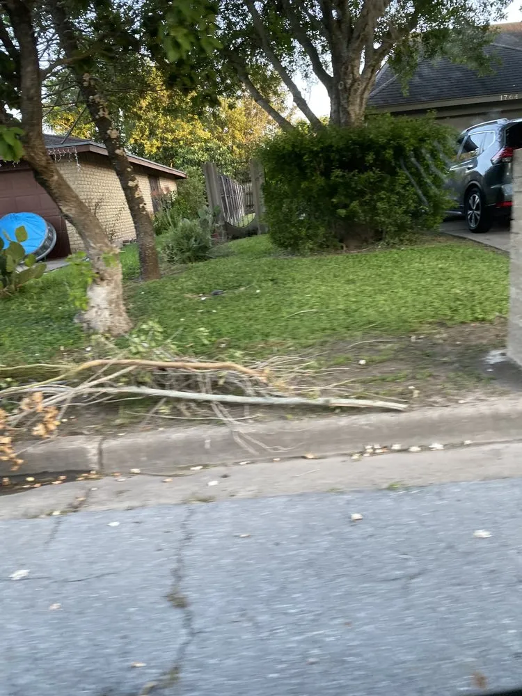 Expert landscape design in Brownsville, TX by JJ’s Landscaping