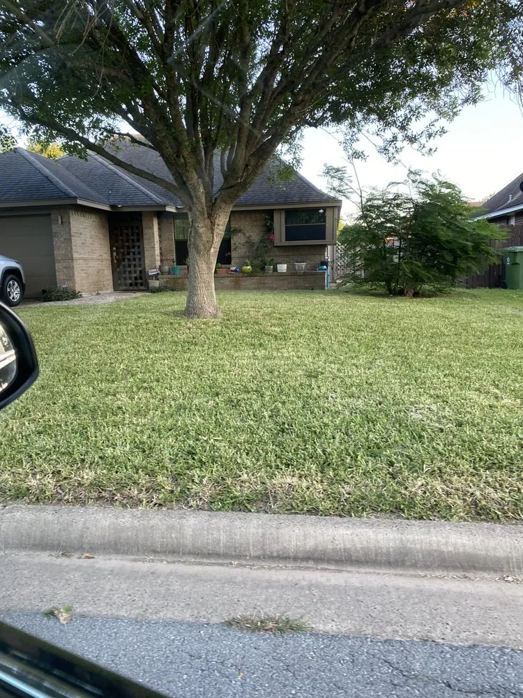 Trusted lawn care service in Brownsville, TX - JJ’s Landscaping