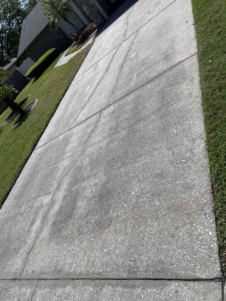Affordable landscape installation in Greater Northdale, FL by JJ’s LandScaping