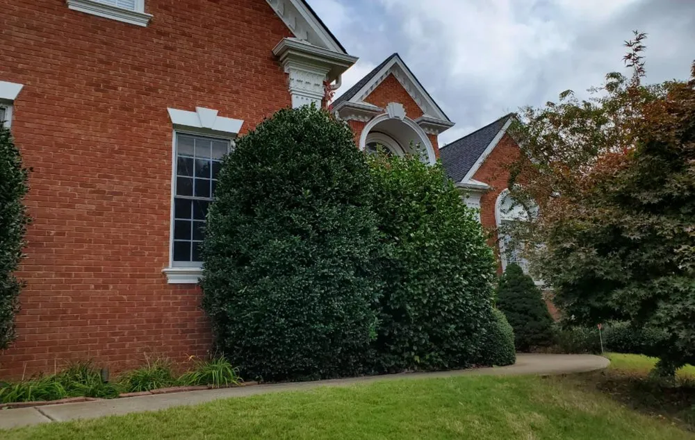 Top-rated landscape design in Cumming, GA - J&J's Landscaping Group