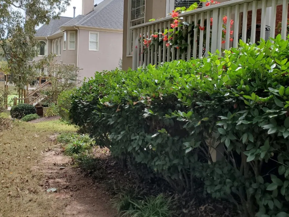 Professional residential landscaping for homes in Cumming, GA by J&J's Landscaping Group