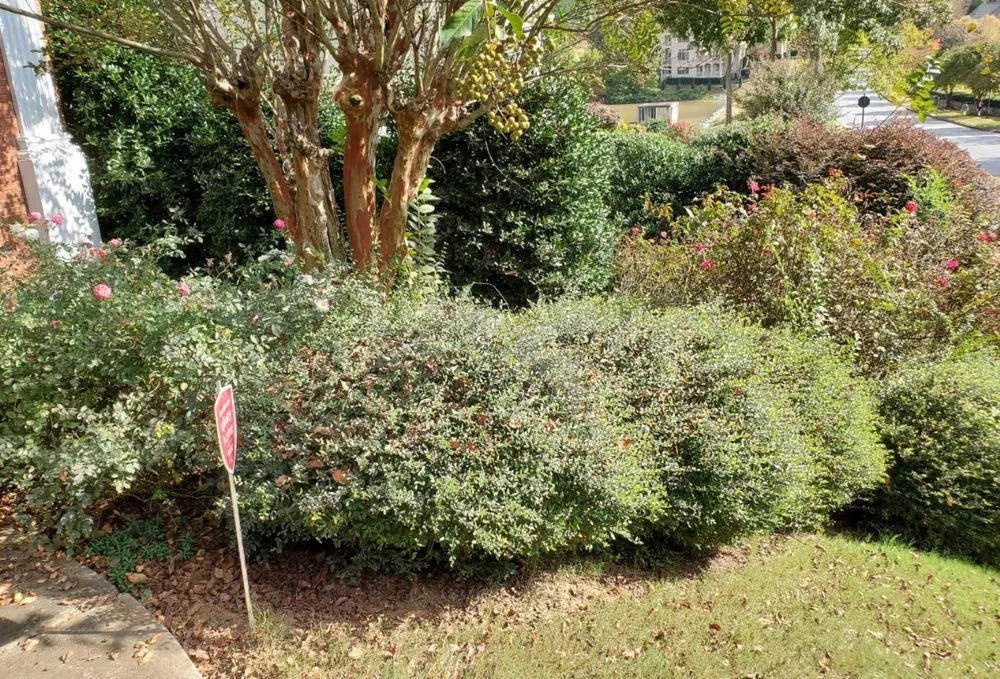 Professional outdoor landscaping in Cumming, GA - J&J's Landscaping Group