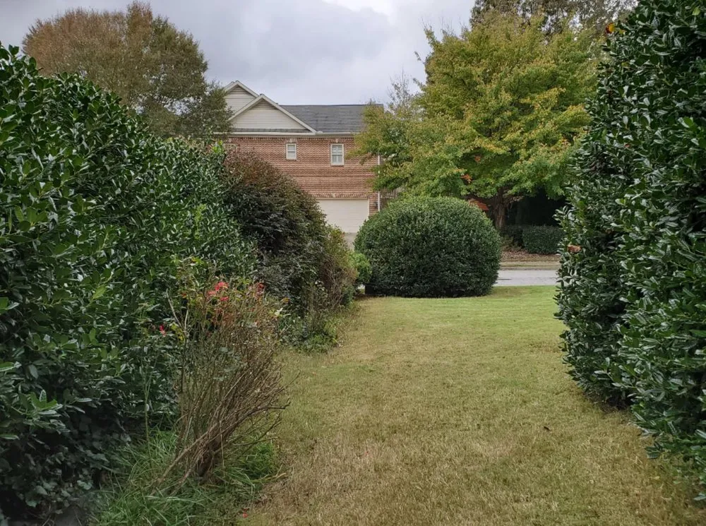 Top-rated yard cleanup service in Cumming, GA - J&J's Landscaping Group