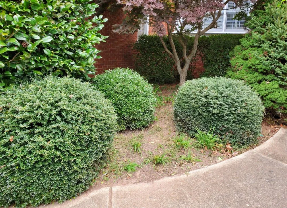 Top-rated lawn mowing service for homes across Cumming, GA - J&J's Landscaping Group