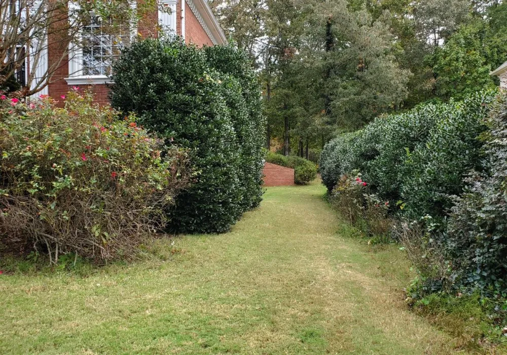 Local lawn mowing service in Cumming, GA - J&J's Landscaping Group