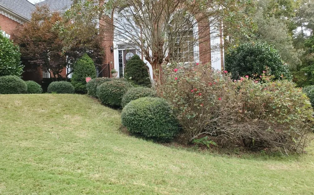 Expert yard maintenance near you across Cumming, GA - J&J's Landscaping Group