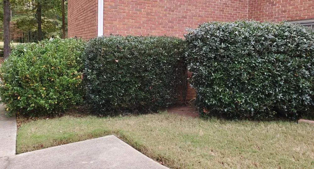 Reliable yard maintenance in Cumming, GA - J&J's Landscaping Group