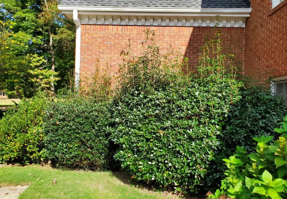 Custom yard maintenance experts serving Cumming, GA - J&J's Landscaping Group