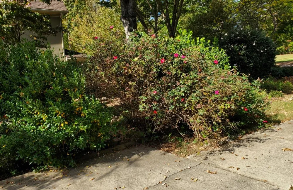 Trusted landscape installation near you across Cumming, GA - J&J's Landscaping Group