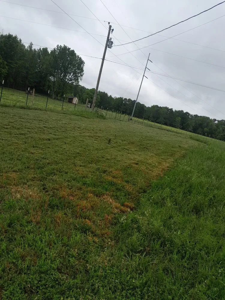 Expert lawn mowing service for year-round maintenance in Good Hope, AL by Jjs Lawn Care & Landscaping