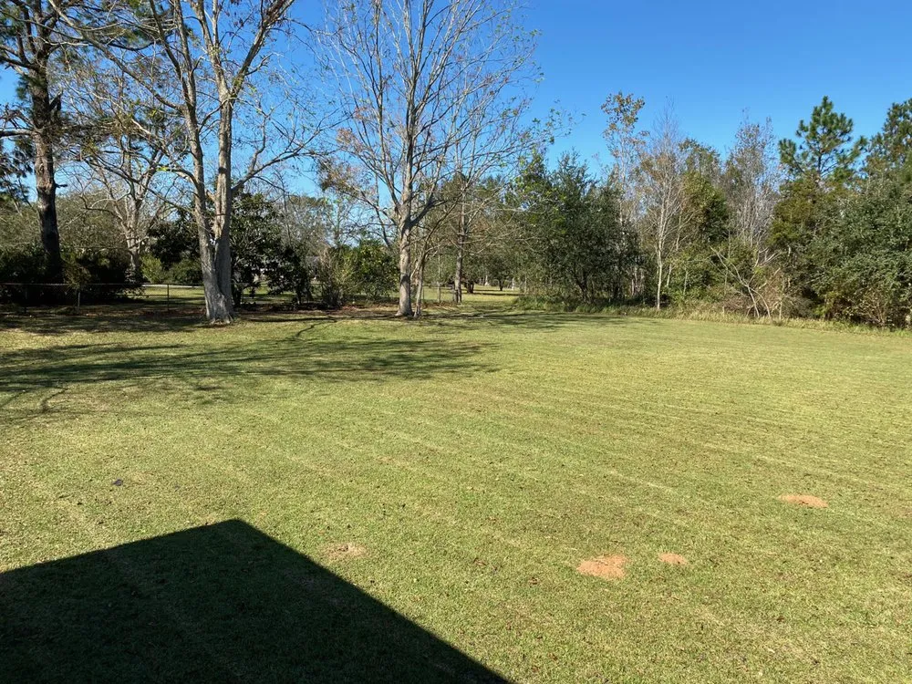 Reliable yard cleanup service experts serving Grand Bay, AL - JJ’s Lawn Care
