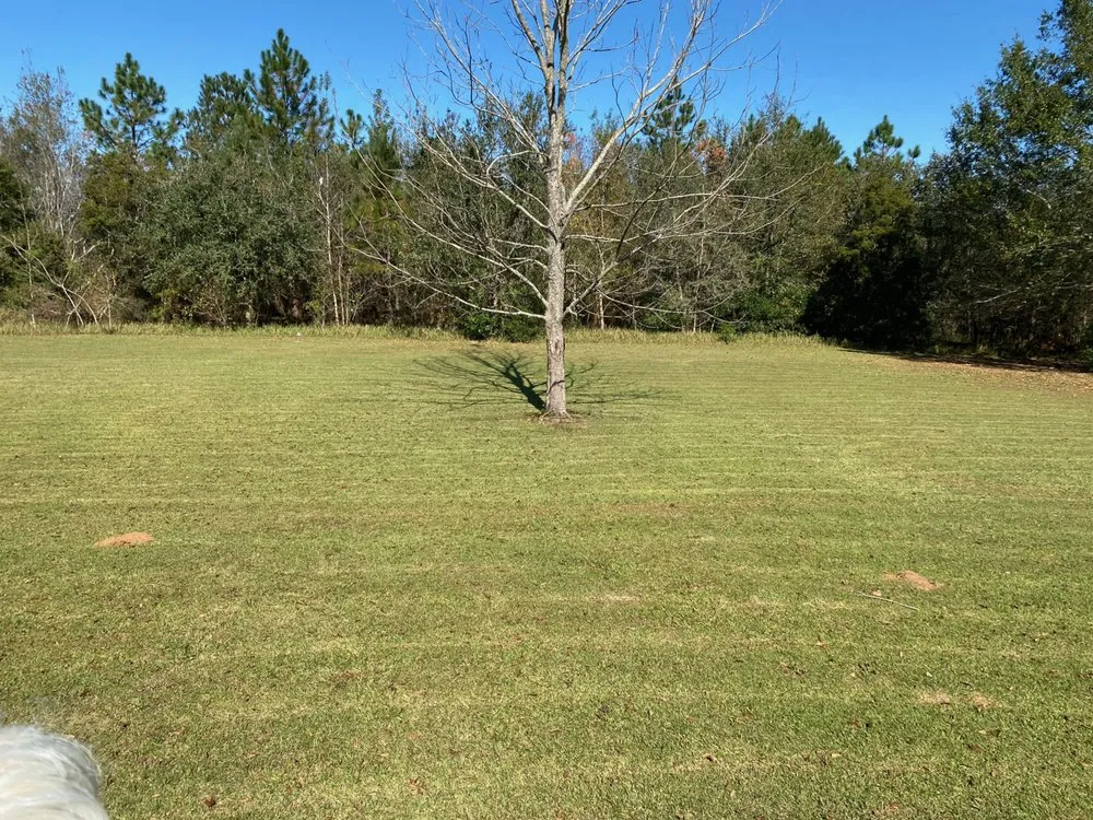 Top-rated yard maintenance in Grand Bay, AL by JJ’s Lawn Care