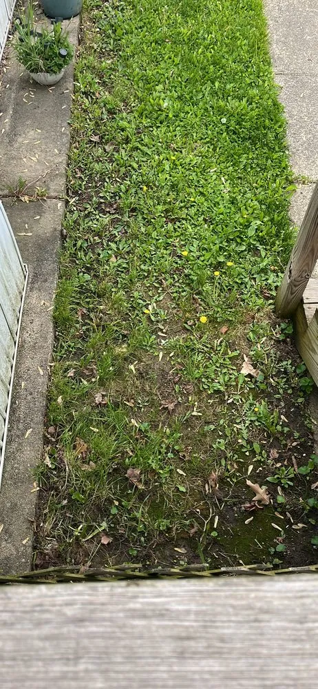 Reliable yard cleanup service in Orion Township, MI - JJs Lawn Care