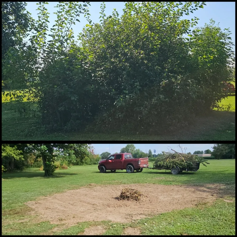 Reliable lawn mowing service for beautiful yards in Xenia, IL by JJ's Lawn Care Services