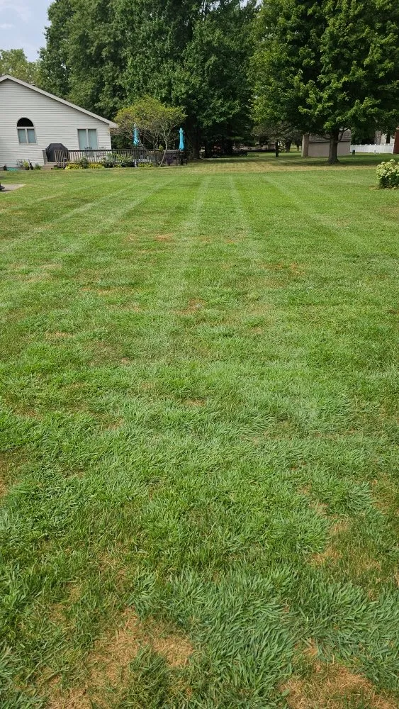 Affordable residential landscaping in Xenia, IL by JJ's Lawn Care Services