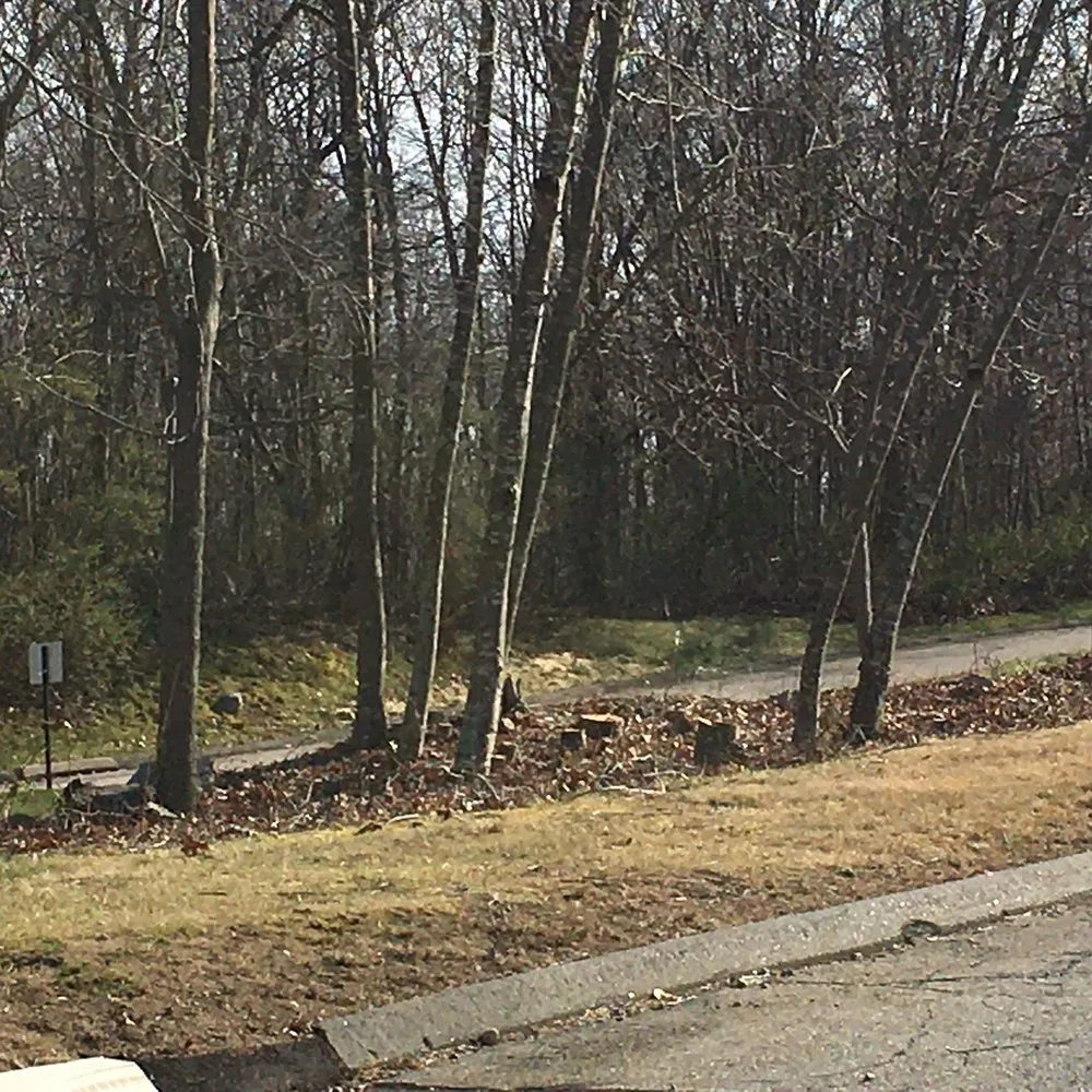 Trusted outdoor landscaping in Waterford, CT by JJs Lawn Care