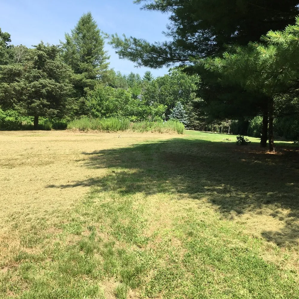 Local lawn mowing service experts serving Waterford, CT - JJs Lawn Care