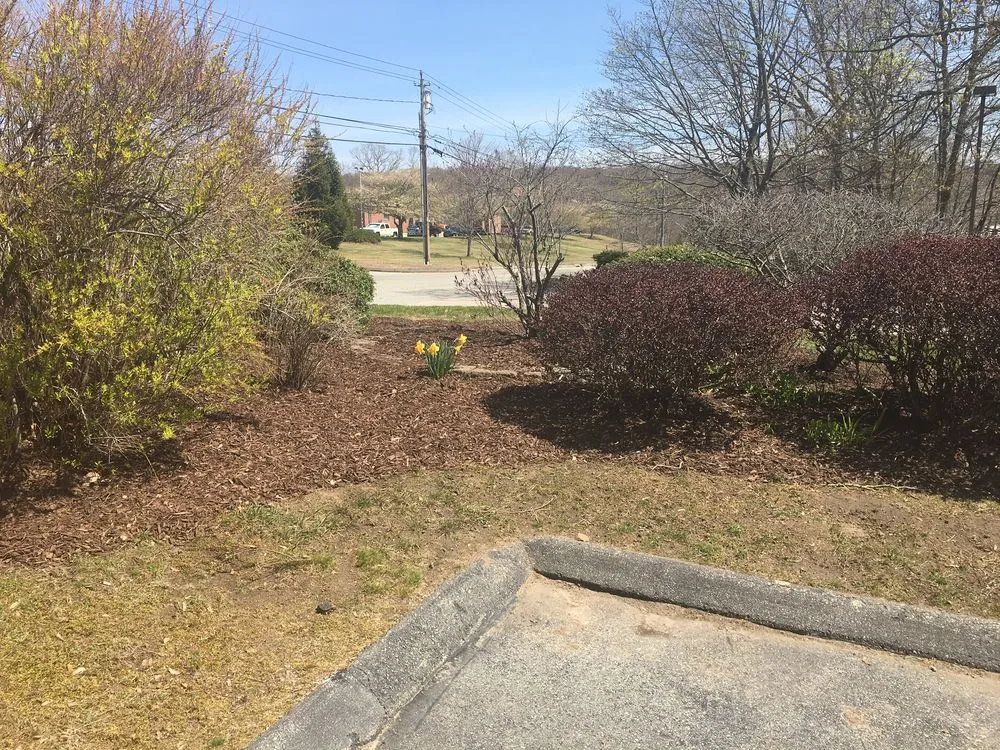 Professional yard cleanup service for residential properties in Waterford, CT by JJs Lawn Care
