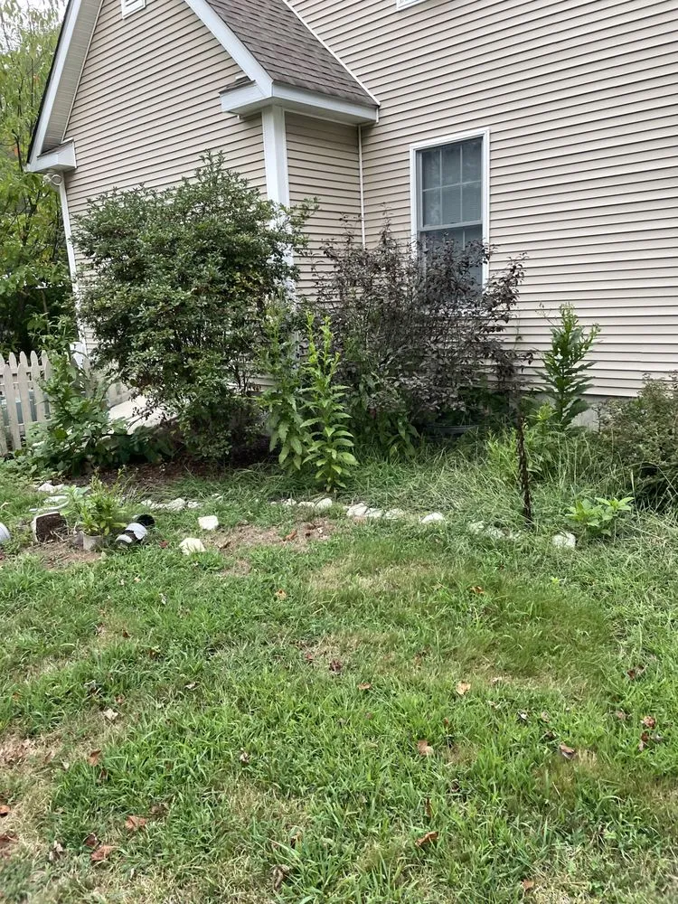 Trusted yard cleanup service in Waterford, CT by JJs Lawn Care