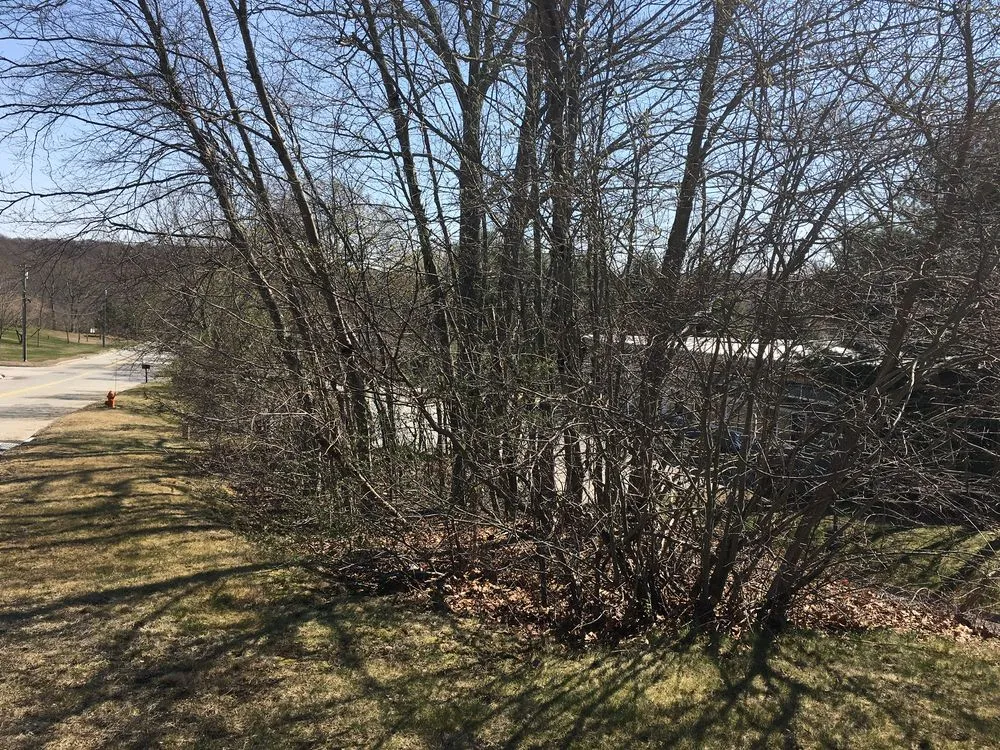 Reliable lawn mowing service experts serving Waterford, CT - JJs Lawn Care