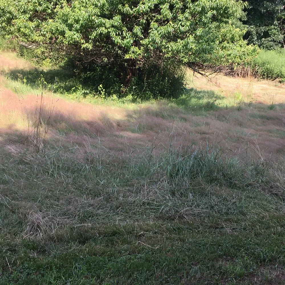 Reliable garden landscaping with custom design in Waterford, CT by JJs Lawn Care