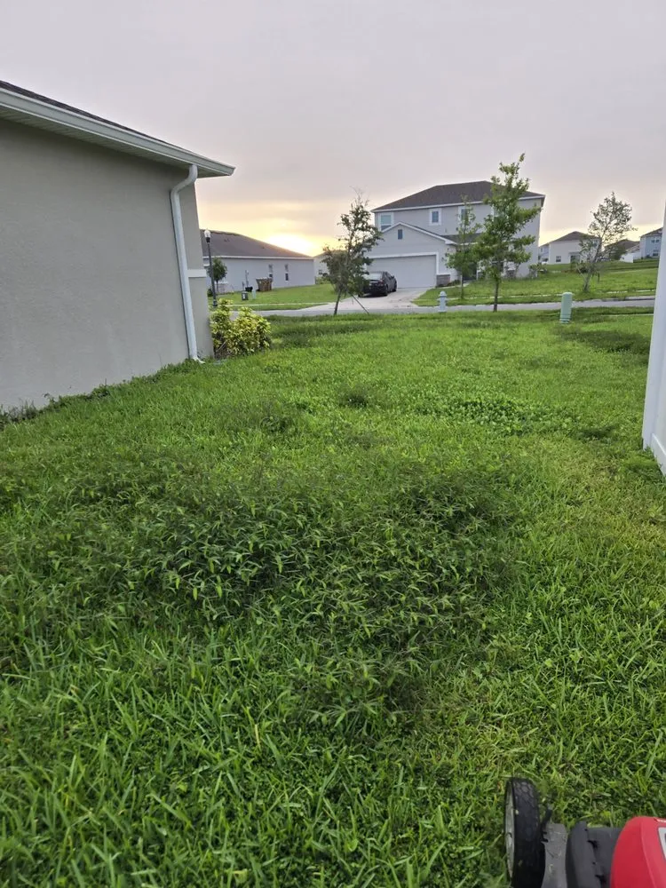 Custom outdoor landscaping in Winter Haven, FL by JJ's Lawn Care