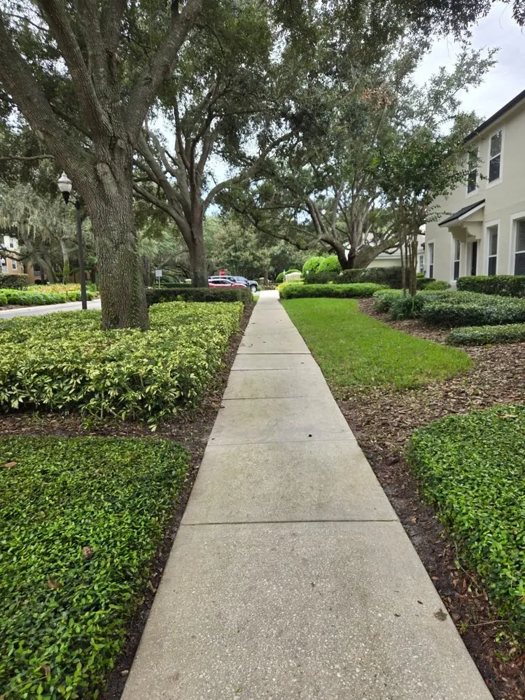 Local yard maintenance in Winter Haven, FL - JJ's Lawn Care