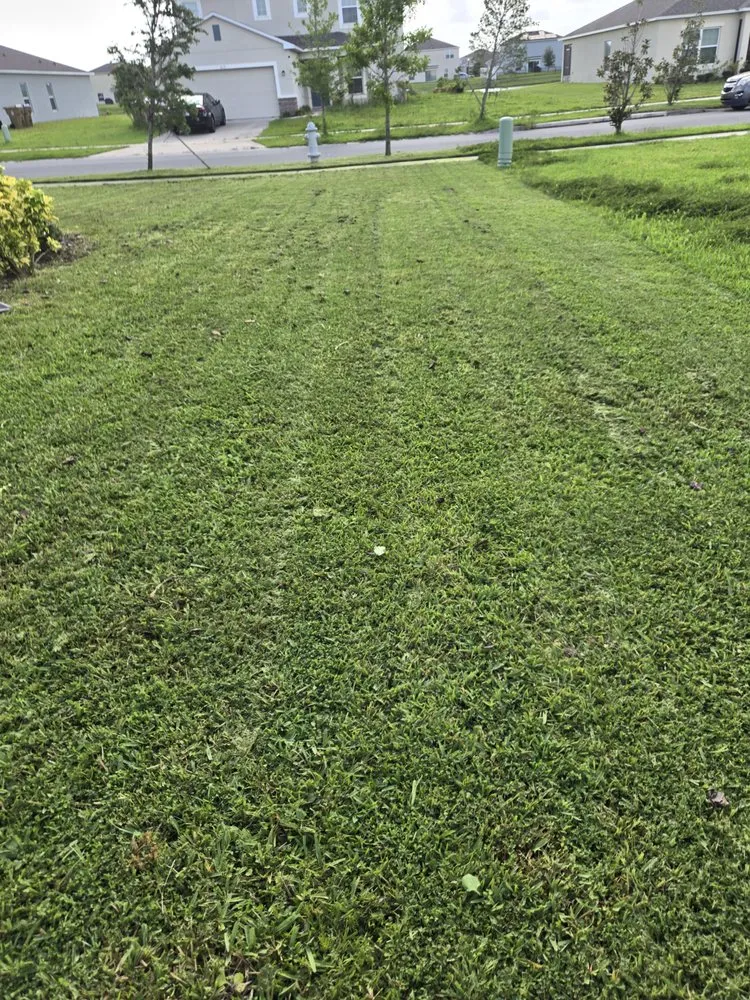 Top-rated landscape design for outdoor upgrades across Winter Haven, FL - JJ's Lawn Care