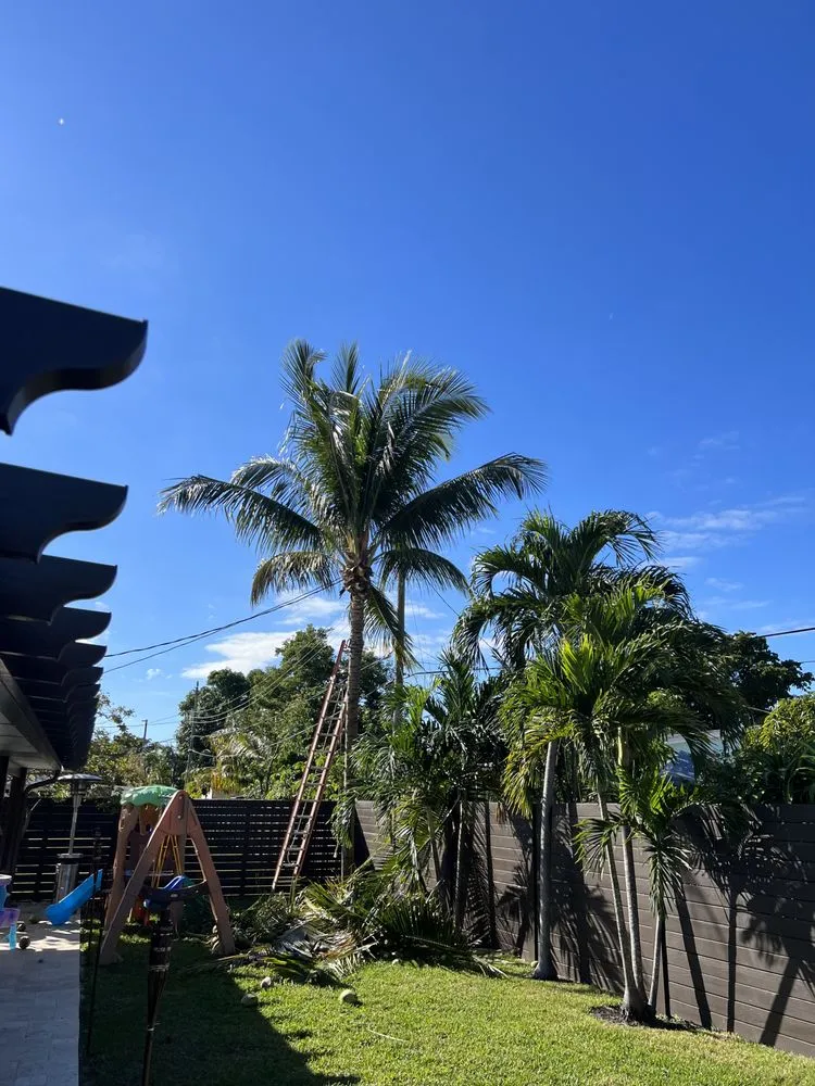 Trusted landscaping services in Deerfield Beach, FL - JJS Lawncare & Landscaping