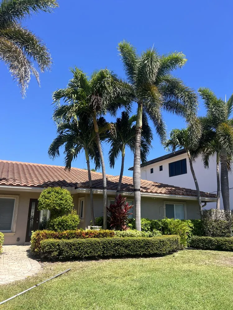 Top-rated landscape design in Deerfield Beach, FL by JJS Lawncare & Landscaping