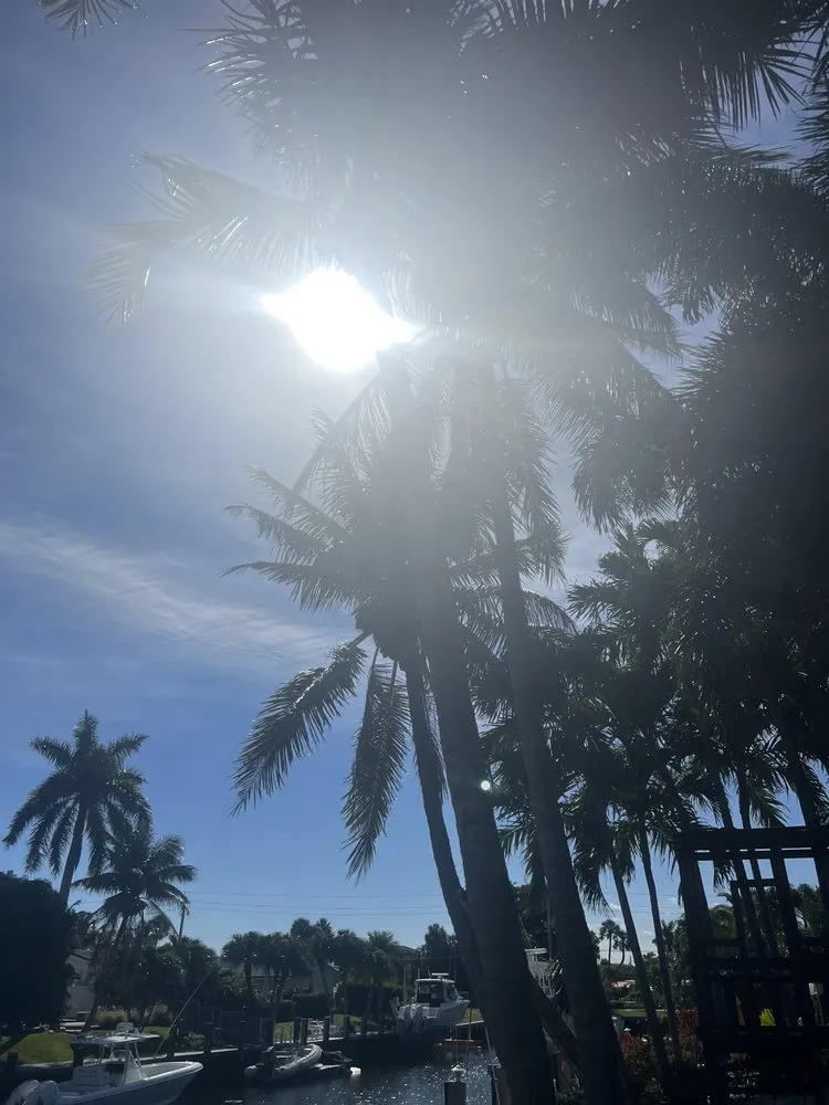 Expert landscaping services in Deerfield Beach, FL by JJS Lawncare & Landscaping