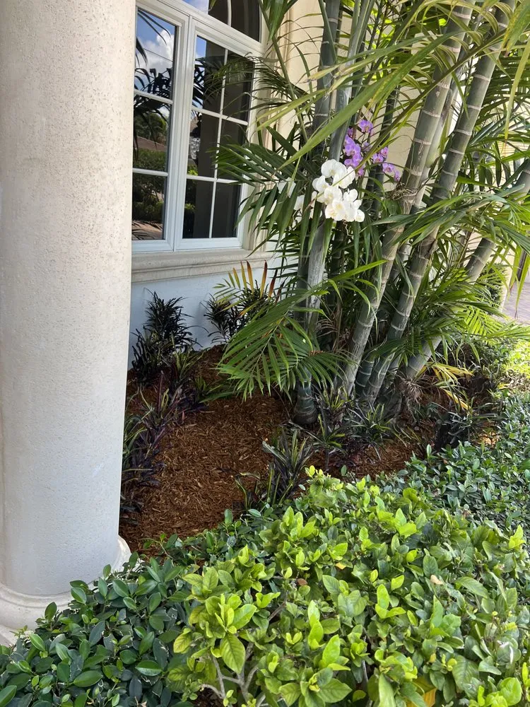 Expert yard maintenance for homes across Deerfield Beach, FL - JJS Lawncare & Landscaping