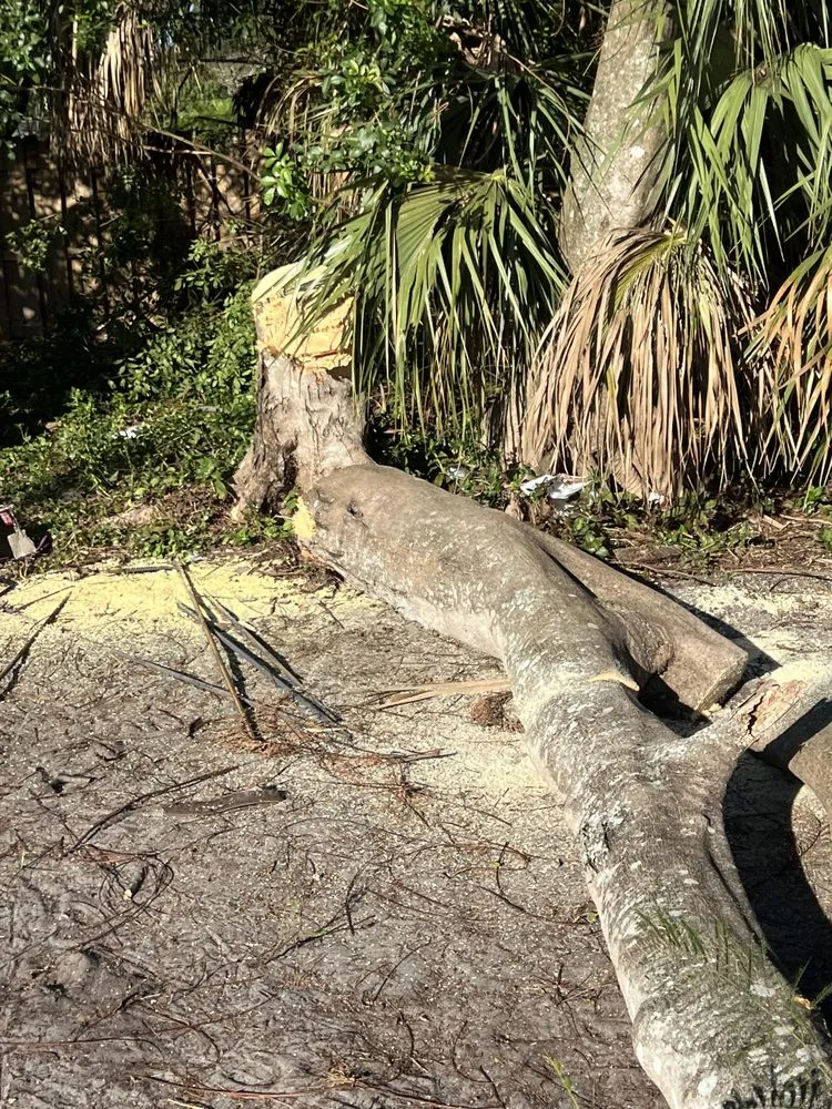 Local yard maintenance in Deerfield Beach, FL by JJS Lawncare & Landscaping